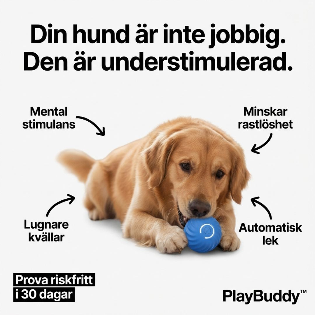 PlayBuddy™ - Smart Stimulation Your Dog Actually Needs