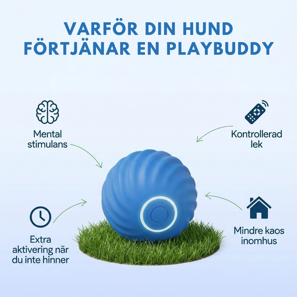PlayBuddy™ - Smart Stimulation Your Dog Actually Needs