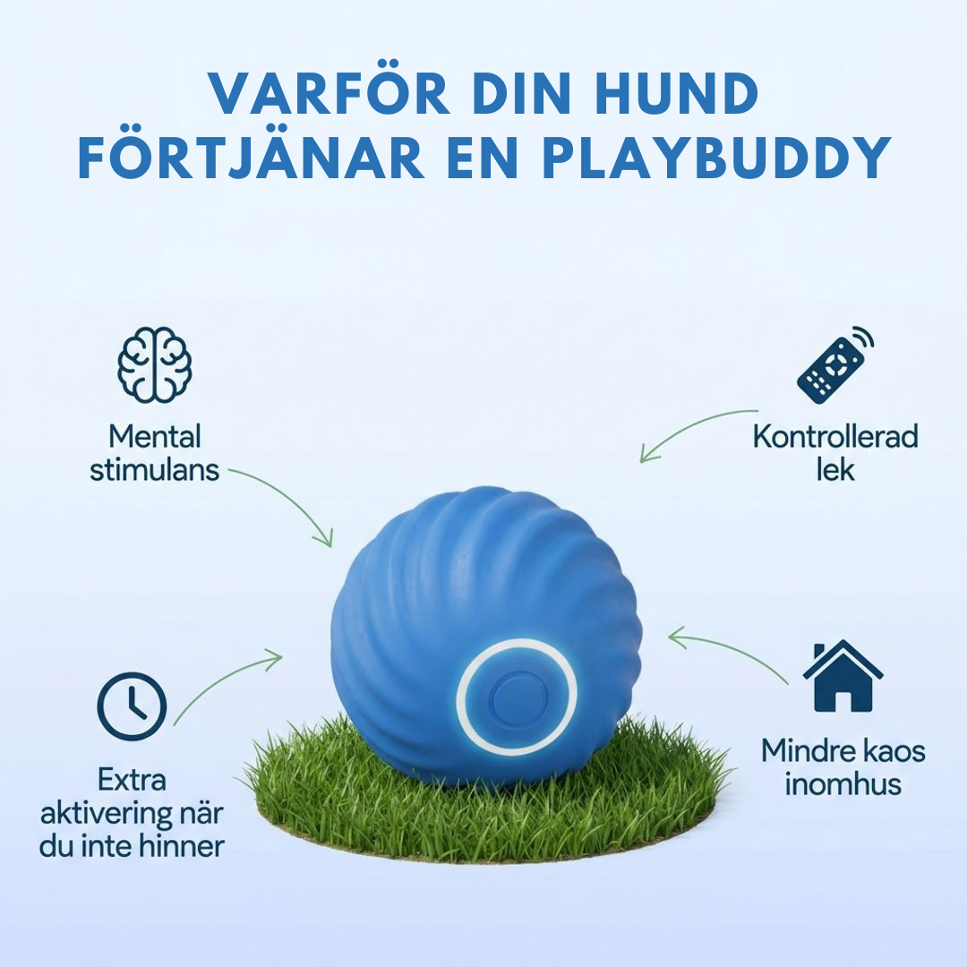 PlayBuddy™ - Smart Stimulation Your Dog Actually Needs