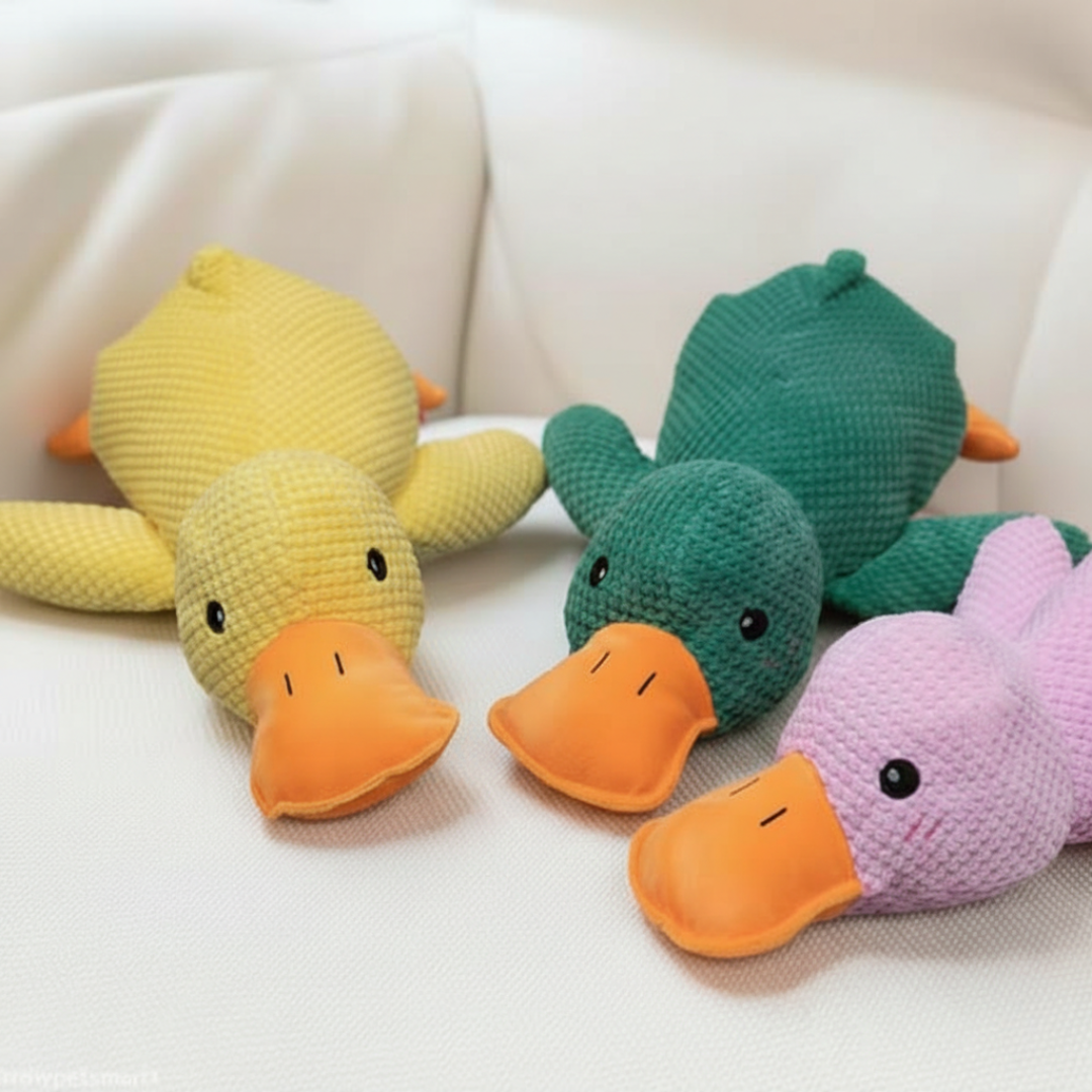 CalmaDuck™
