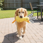 CalmaDuck™