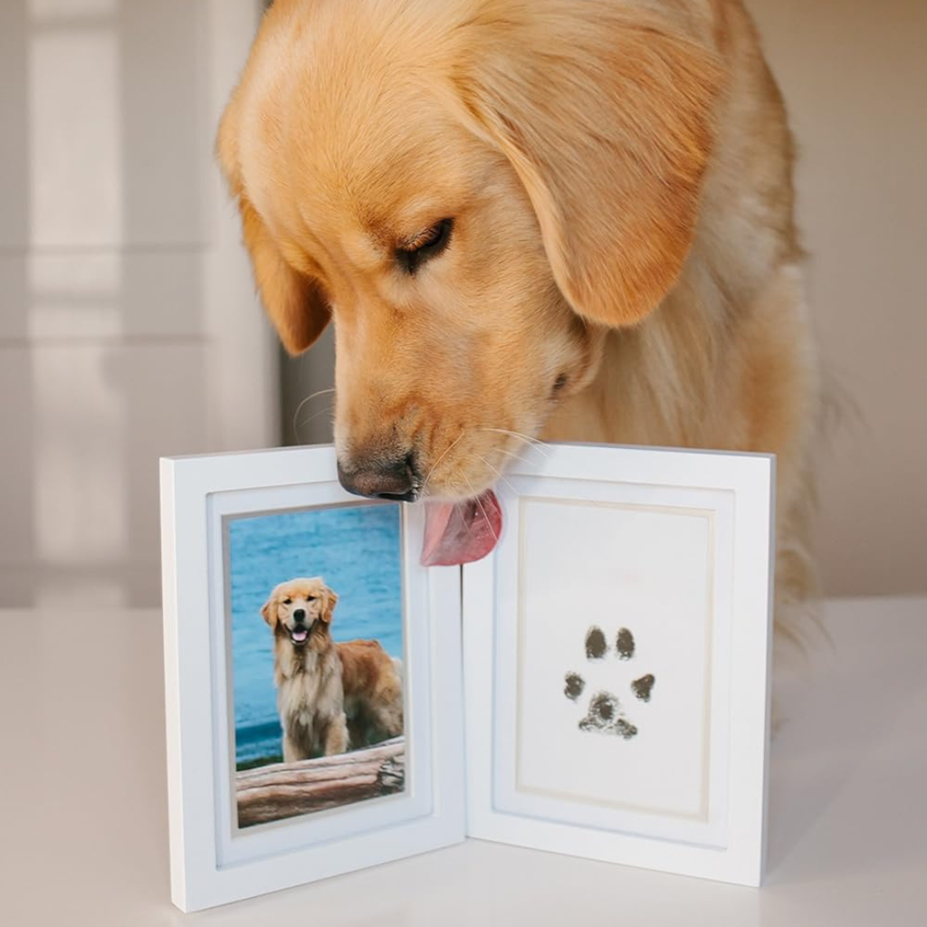 Foreverpaw – ett livstidsminne av din hunds tassavtryck