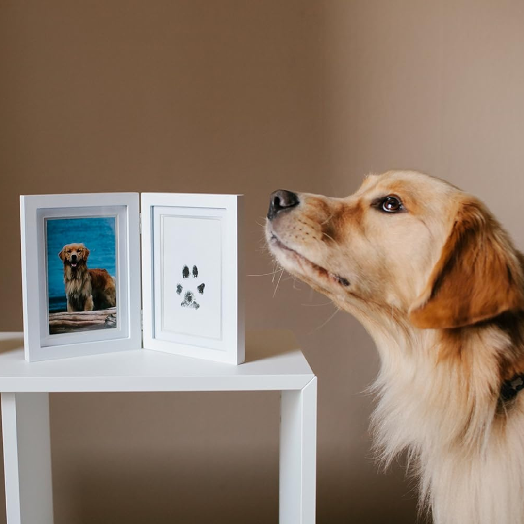 Foreverpaw – ett livstidsminne av din hunds tassavtryck
