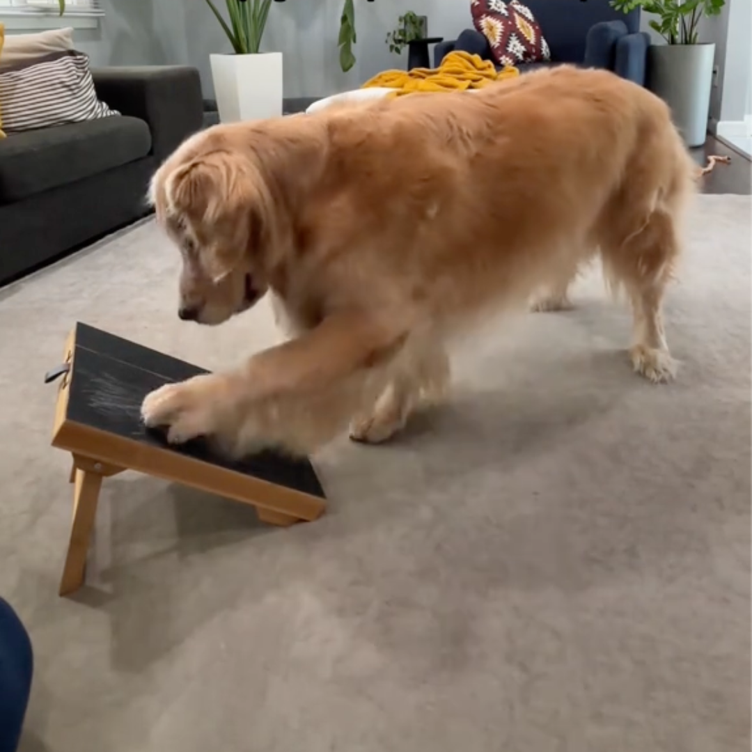 NailEase™ – Nail Scratch Puzzle Board