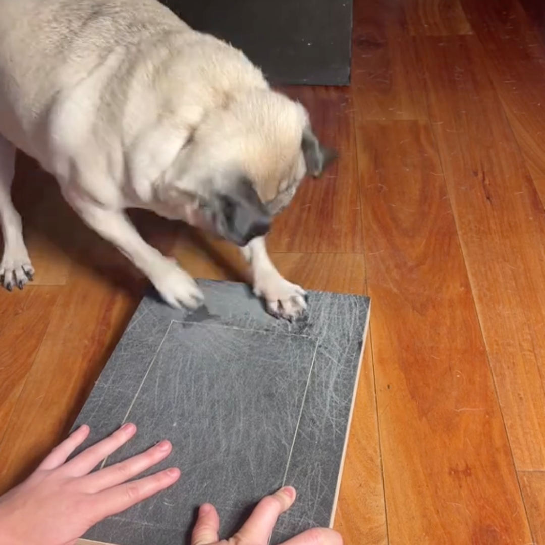 NailEase™ – Nail Scratch Puzzle Board