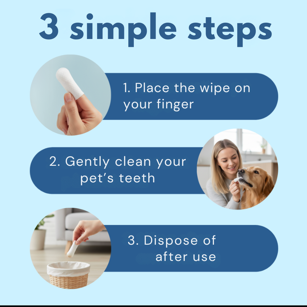 VetWipes™ – Enkel munvård för hundar
