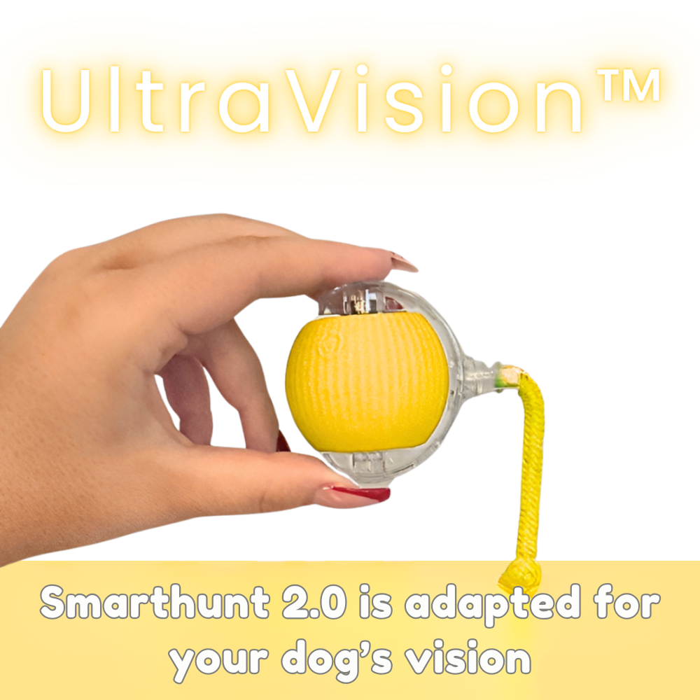 Smarthunt 2.0 – uppgraderad version av förra årets bästsäljande hundleksak