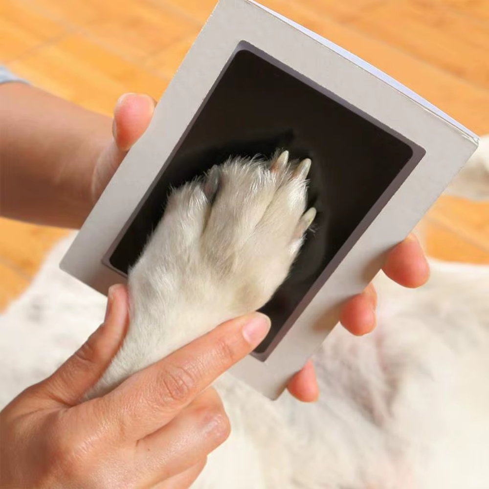 Foreverpaw – ett livstidsminne av din hunds tassavtryck