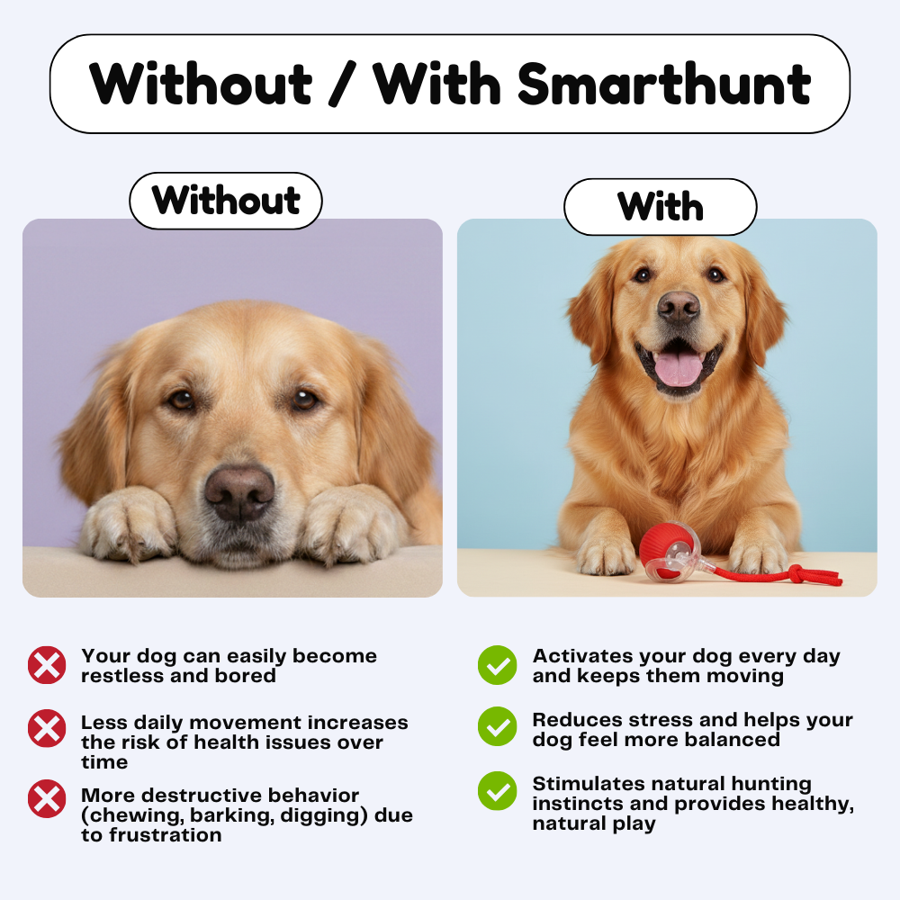 SmartHunt™ – Smart, självgående och utsedd till Årets hundleksak 2025