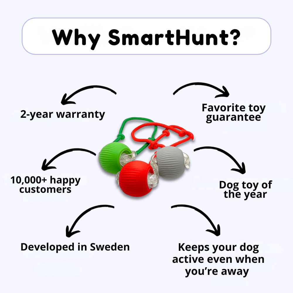 SmartHunt™ – Smart, självgående och utsedd till Årets hundleksak 2025