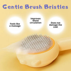 Clickbrush – Självrengörande borste