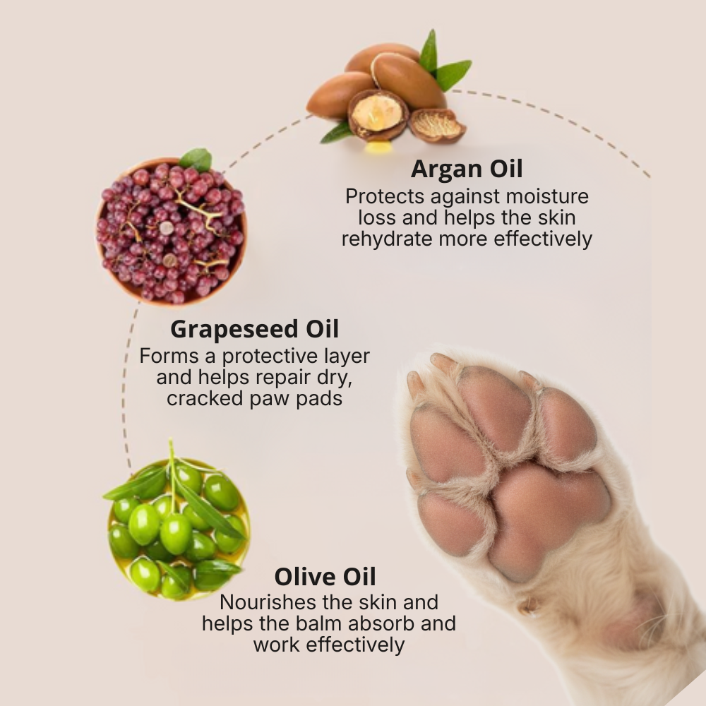 Paw Balm – Moisturizing Paw Balm