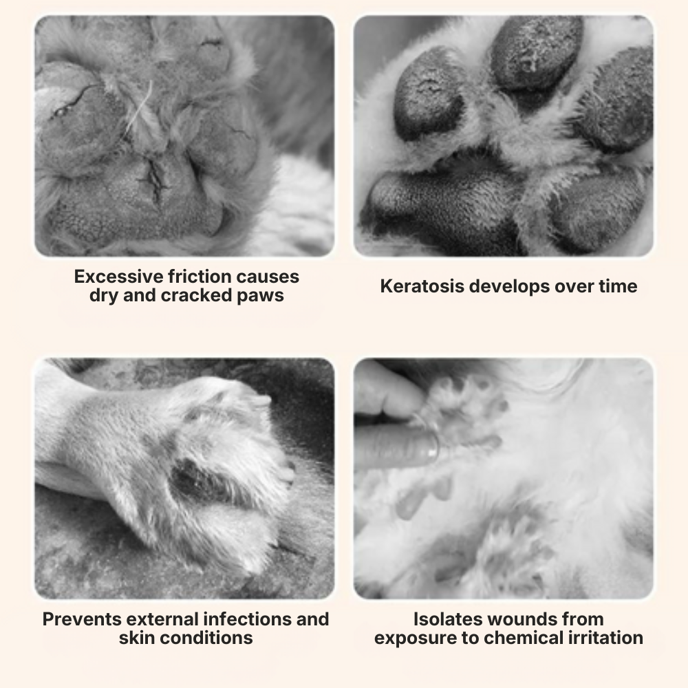 Paw Balm – Moisturizing Paw Balm
