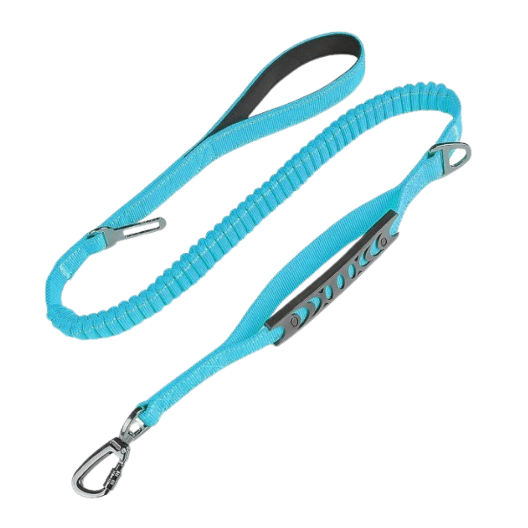 EaseFlex Leash™