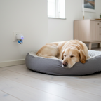 CalmaHome™ – Lugnande diffusor som hjälper din hund att känna sig säker (endast plug-in diffusor)